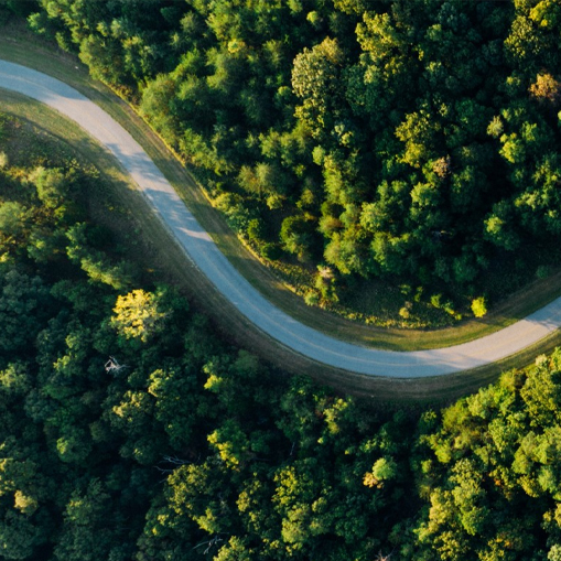 Birds eye view of road meandering through dense forest.